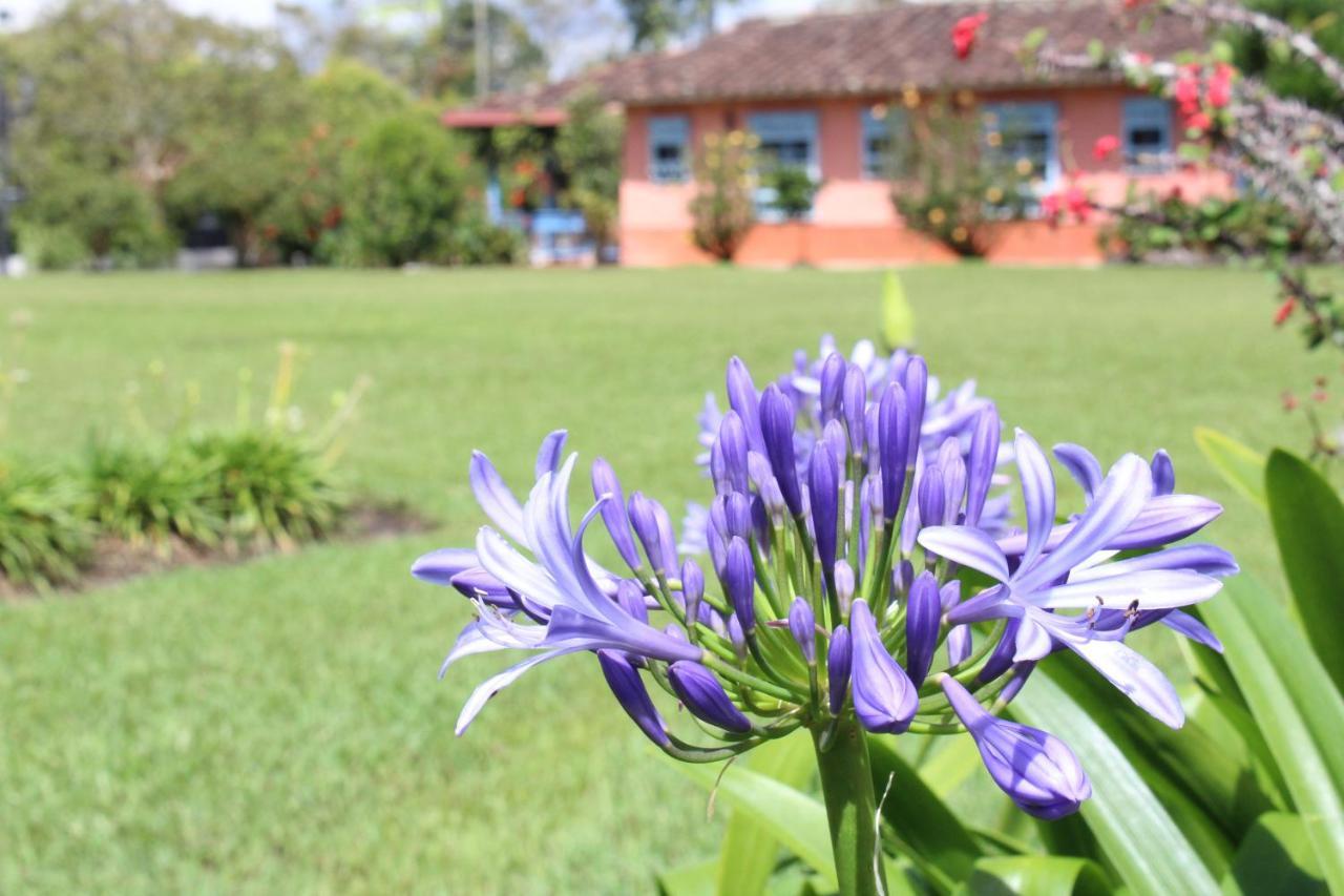 Ecohotel La Masia Llanogrande  Luaran gambar