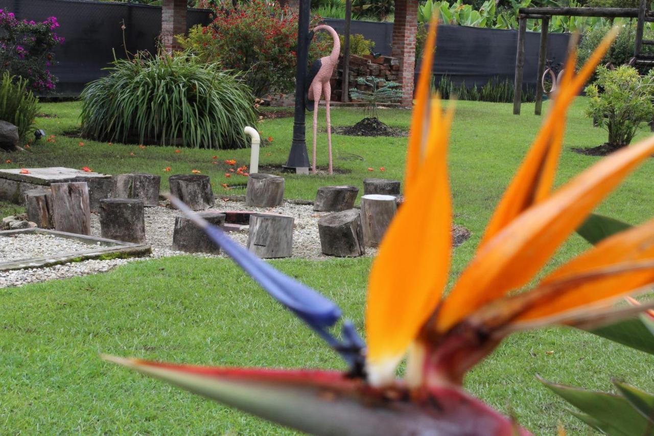 Ecohotel La Masia Llanogrande  Luaran gambar